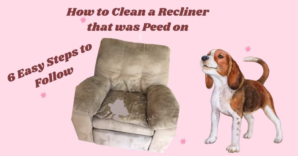 How to Clean a Recliner that was Peed on