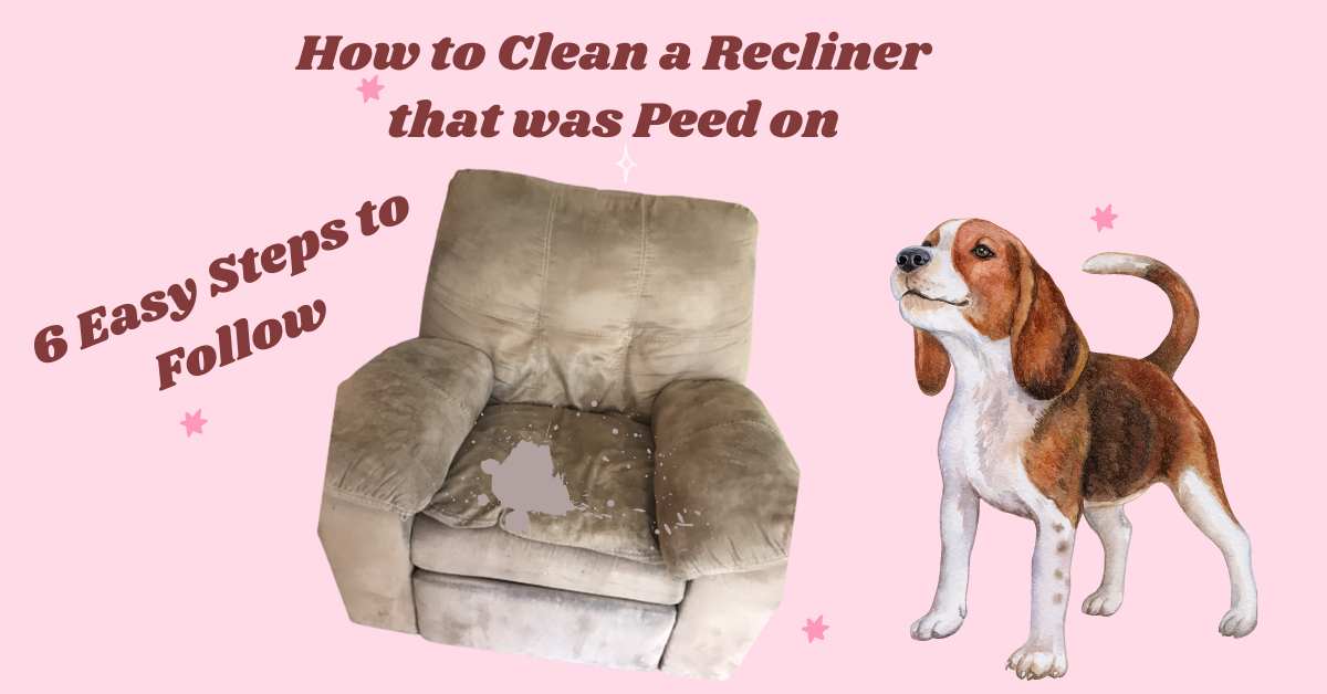 How to Clean a Recliner that was Peed on? 6 Steps Process